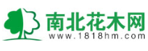 南北花木网-沭阳国际花木城(图1)