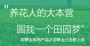 花帮主网(图1)