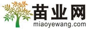苗业网(图1)