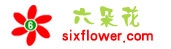 六朵花鲜花网-网上花店订花(图1)