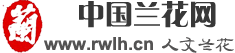 人文兰花-兰花种殖和鉴赏知识(图1)
