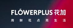花加网(图1)