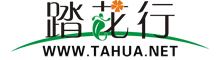 踏花行花卉网(图1)