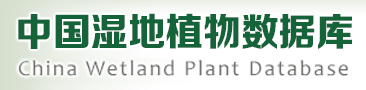 中国湿地植物数据库(图1)
