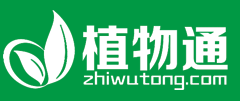 植物通网(图1)
