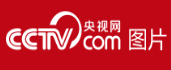 央视网图片(图1)