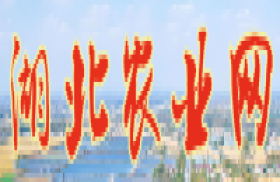 湖北农业网