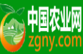 中国农业网-免费的B2B供求信息发布平台