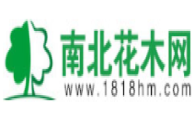 南北花木网-沭阳国际花木城