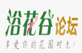 浴花谷论坛-浴花谷专业花卉交流论坛