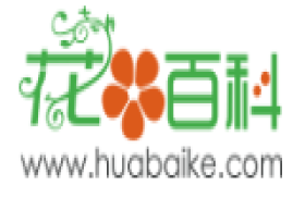 花百科网-您身边的养花专家