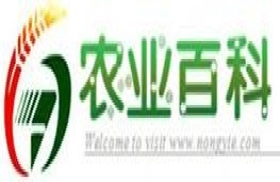 农业百科网