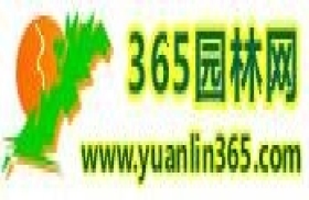 365园林网-中华园林网苗木行业网站