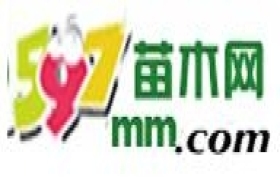 597苗木网-苗木供应求购信息