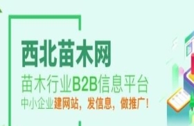 西北苗木网-陕西绿化苗木供求信息
