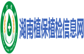 湖南植保植检信息网