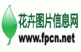 花卉图片信息网