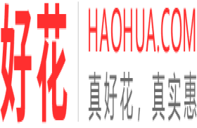 好花网
