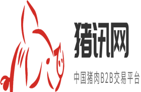 猪讯网