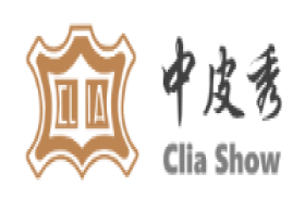 中皮秀网