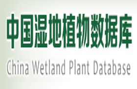中国湿地植物数据库