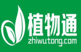 植物通网