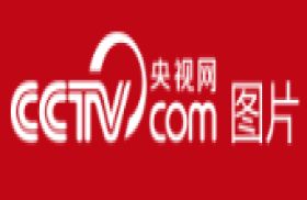 央视网图片