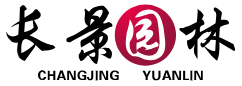 沭阳长景园林网-苗木基地(图1)